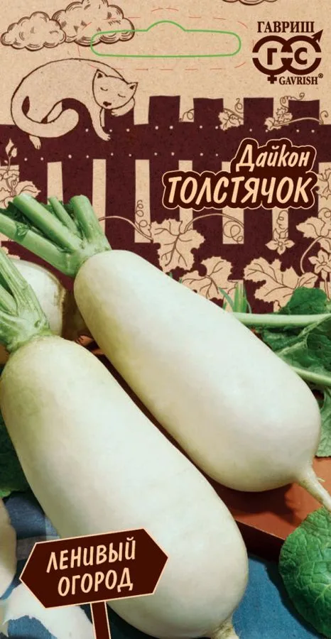 Редька Толстячок