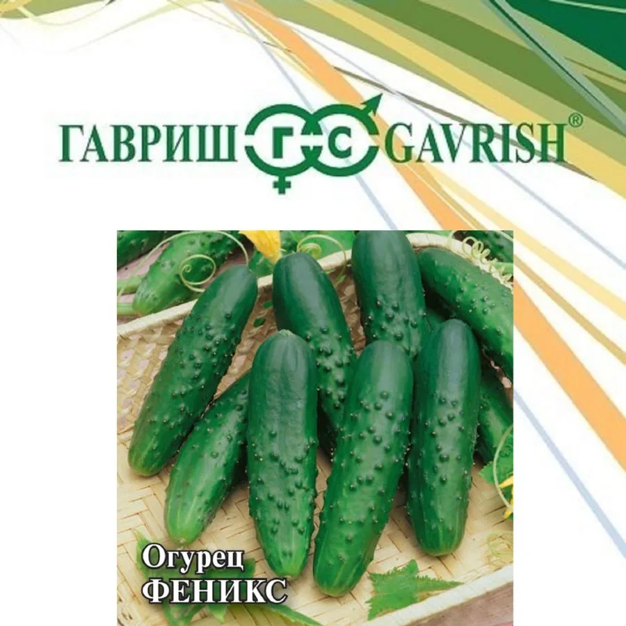 Огурец Феникс