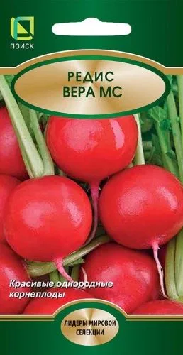 Редис Вера МС