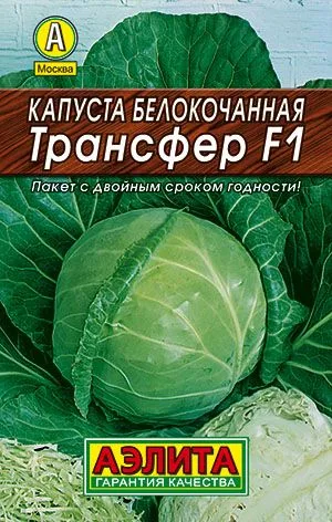 Капуста б/к Трансфер F1
