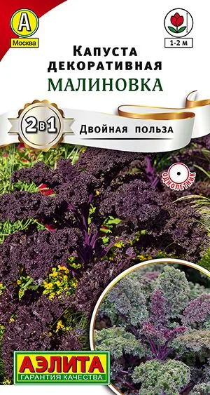 Капуста декоративная Малиновка