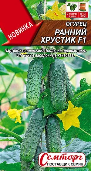 Огурец Ранний хрустик F1