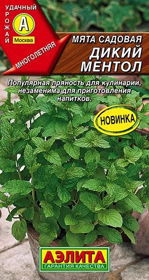 Пряные травы Мята садовая Дикий ментол