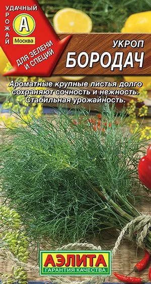 Укроп Бородач