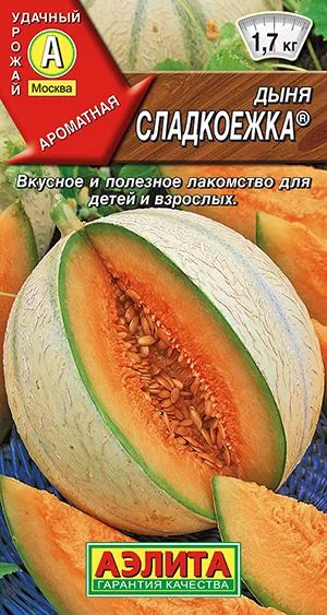 Дыня Сладкоежка