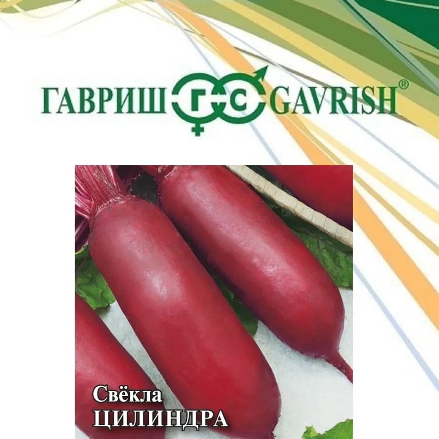 Свёкла Цилиндра