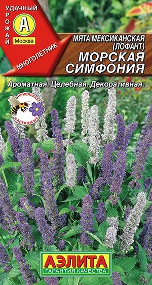 Пряные травы Мята мексиканская Морская симфония