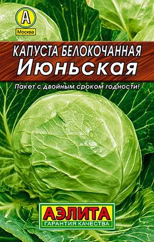 Капуста б/к Июньская