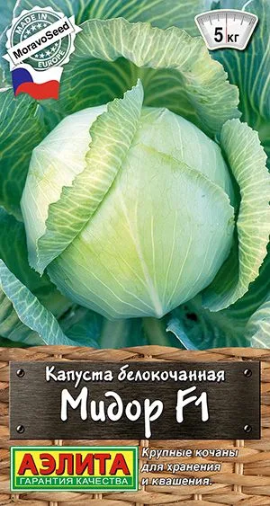Капуста б/к Мидор F1
