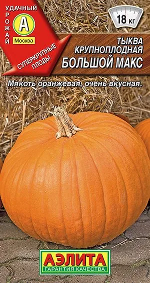 Тыква крупноплодная Большой макс