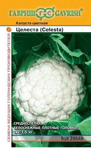 Капуста цветная Целеста