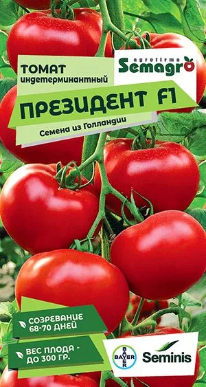 Семена: Томат Президент F1