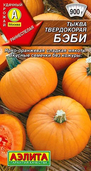Тыква твердокорая Бэби