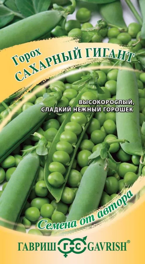 Фасоль Сахарный гигант