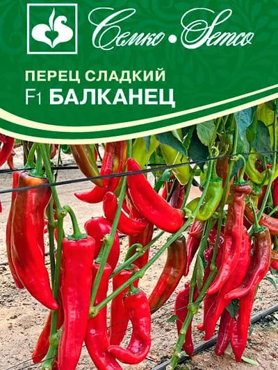Перец сладкий Балканец F1