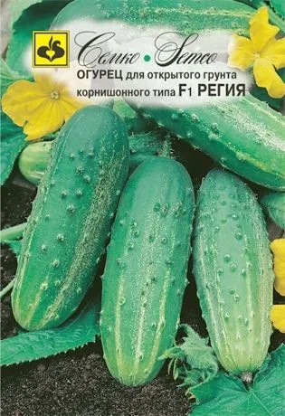 Огурец Регия F1