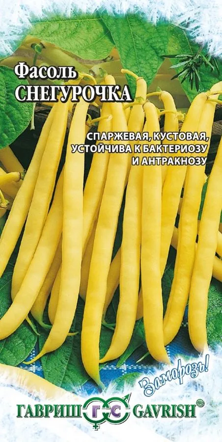 Фасоль спаржевая Снегурочка