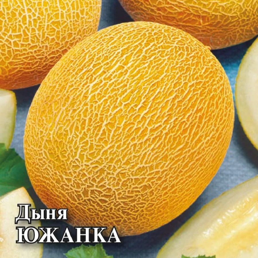 Дыня Южанка
