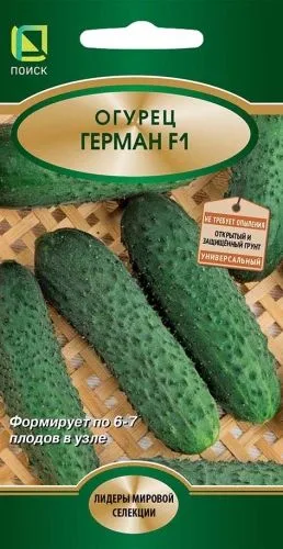 Огурец Герман F1
