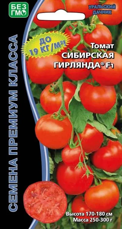 Семена: Томат Сибирская гирлянда F1