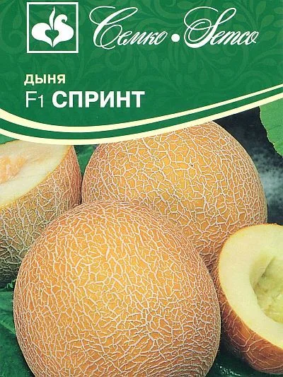 Дыня Спринт F1