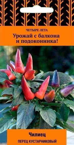 Перец кустарниковый Чилиец