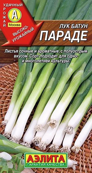 Лук батун Параде