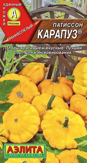 Патиссон Карапуз ®