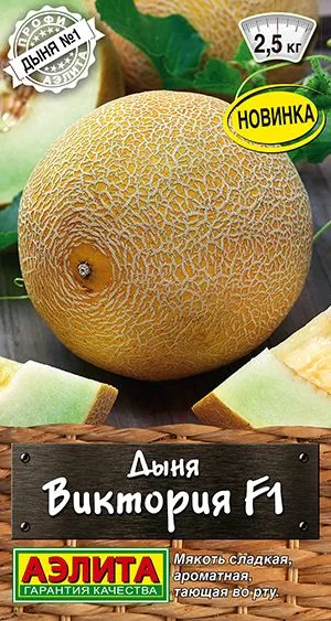Дыня Виктория F1