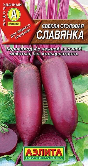 Свёкла Свекла столовая Славянка