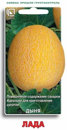 Дыня Лада