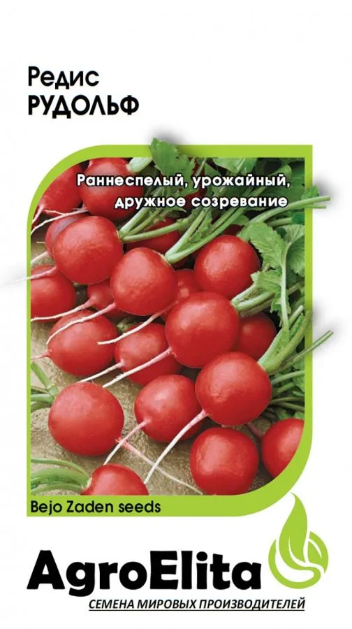 Редис Рудольф