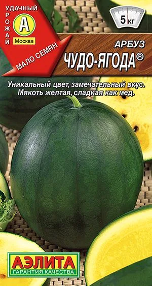 Арбуз Чудо-ягода