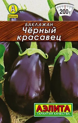 Баклажан Черный красавец