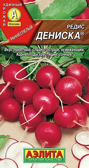 Редис Дениска