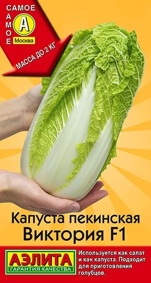 Капуста пекинская Виктория F1