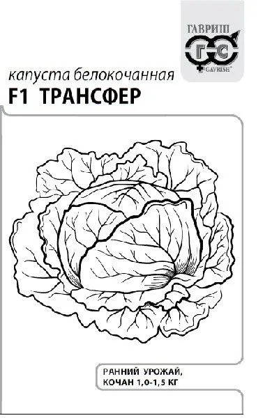 Капуста белокочанная Трансфер F1