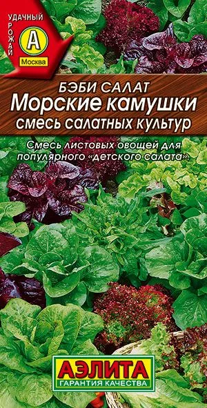 Салат Бэби салат Морские камушки, смесь