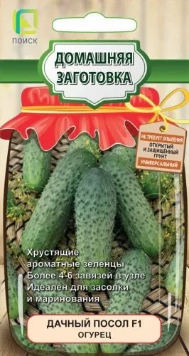 Огурец Дачный посол F1