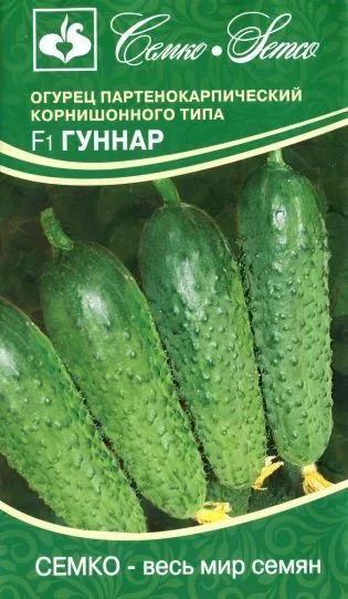 Огурец Гуннар F1