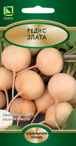 Редис Злата