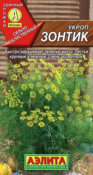 Укроп Зонтик