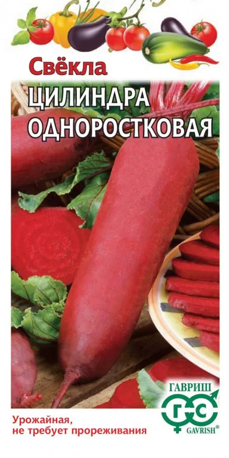 Свёкла Цилиндра одноростковая