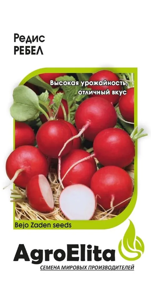 Редис Ребел