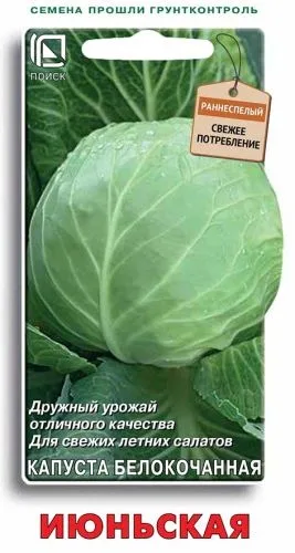 Капуста белокочанная Июньская