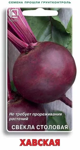 Свёкла Свекла столовая Хавская
