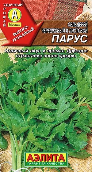 Сельдерей листовой Парус