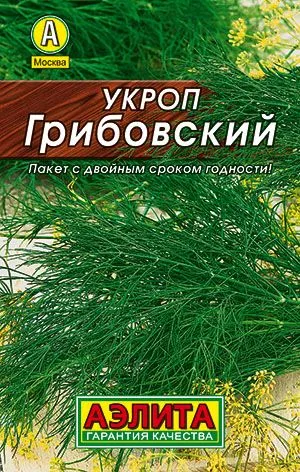 Укроп Грибовский