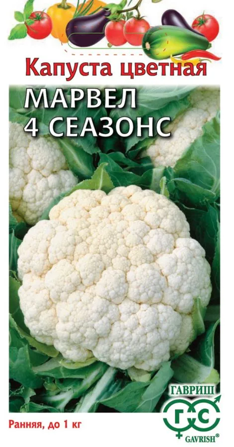 Капуста цветная Марвел 4 сеазонс