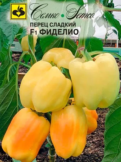 Перец сладкий Фиделио F1